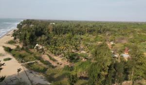 Příroda nedaleko bed and breakfast