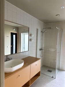 a bathroom with a sink and a mirror and a shower at Villa Vadsø in Vadsø +25 photos