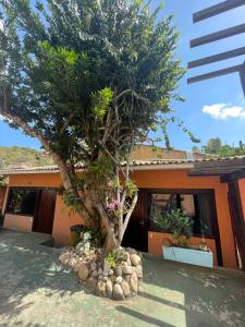 Κήπος έξω από το Biruta Guest House - com Ar Condicionado - Praia da Tartaruga