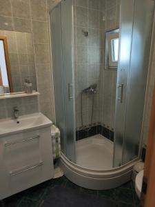 łazienka z prysznicem, toaletą i umywalką w obiekcie Apartments by the sea Tkon, Pasman - 6221 w mieście Tkon