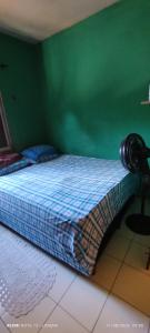 a bed in a bedroom with a green wall at Lorena in Ananindeua