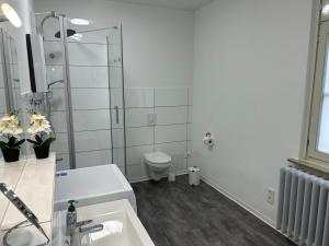 ein weißes Badezimmer mit Toilette und Waschbecken in der Unterkunft Come Stay Relax Apartment für bis zu 6 Personen - Parkplatz - WLAN - Homeoffice in Trier