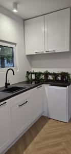 a kitchen with white cabinets and potted plants on the counter at Apartament Contandair in Olsztyn