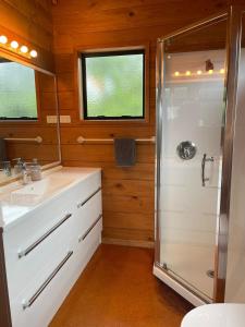 une salle de bain avec douche et lavabo dans l'établissement Bella Vista on the Beach, à Matarangi