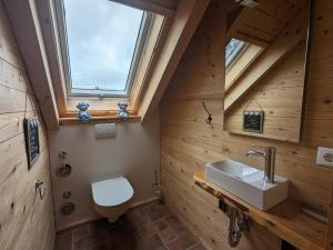 a bathroom with a toilet and a sink at Borner Holzhaus in Born +7 photos