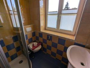 ein Badezimmer mit Toilette und Waschbecken in der Unterkunft Haus Sonne in Born + 6 Fotos