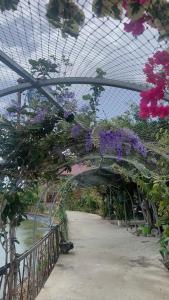 Fotografie z fotogalerie ubytování Ef farm v destinaci Thôn An Thạnh