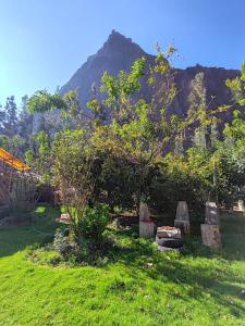a garden with trees and a mountain in the background at Vista a la Montaña Habitación Pet Friendly in Ollantaytambo