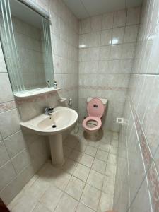a bathroom with a pink toilet and a sink at Sharing apartment in Abu Dhabi