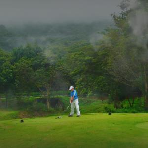 Γήπεδο γκολφ σε αυτό το ξενοδοχείο ή στη γύρω περιοχή