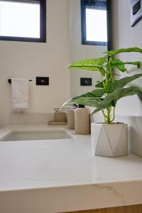 una pianta seduta su un bancone in bagno di Casa Cretaceous Modern villa 10 min walk to the beach a Sámara