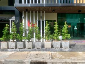 a row of potted plants in front of a building at Thana Wisut Hotel in Bangkok