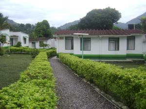a house with a row of bushes in front of it at Servituristicos La Esmeralda in Santa María