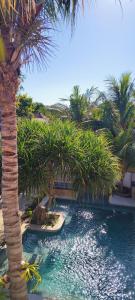 un resort con piscina con palmera en Akarair, en Gili Air