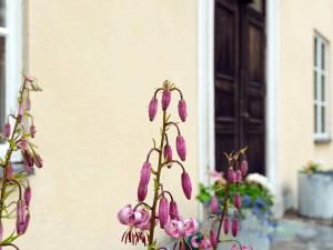 a bunch of purple flowers in front of a building at 11 person holiday home in STORA SUNDBY in Böcklinge