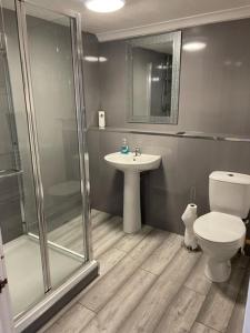 a bathroom with a shower and a toilet and a sink at Seaside High Street Homely Hideaway in Dunbar