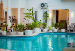 a swimming pool with potted plants next to a building at Hotel Smart Durbar in Dharampur