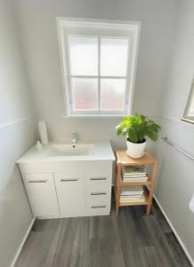 a bathroom with a sink and a potted plant at Boundary Court Motor Inn in Hamilton