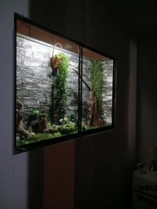 リマにあるFreestyle Homeの窓辺に置かれた植物が入った水槽