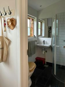 une salle de bains avec toilettes et lavabo dans l'établissement Family House By Roskilde Fjord And North Forest, à Jægerspris