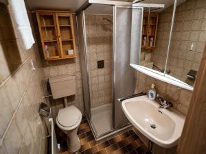a bathroom with a toilet and a shower and a sink at Double room near Ritzensee River in Saalfelden am Steinernen Meer