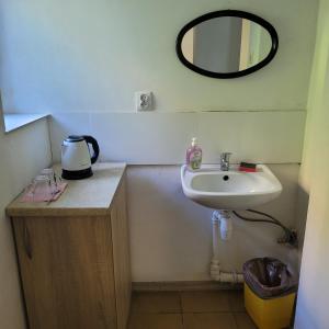 a bathroom with a sink and a mirror on the wall at Noclegi in Starogard Gdański