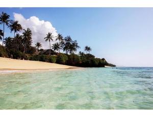 ディアニ・ビーチにあるDIANI COZY SUITEzのヤシの木と海のあるビーチ