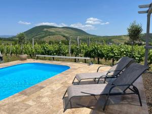 a couple of chairs sitting next to a swimming pool at Csernus Doki bor-grillterasza és bungallói in Eger