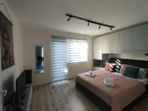 a bedroom with a bed and a television in it at Apartman Sky 1 in Gornja Toplica