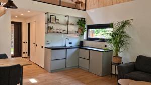 a kitchen with white cabinets and a sink and a plant at Aura Будинки для відпочинку in Aleksandriya