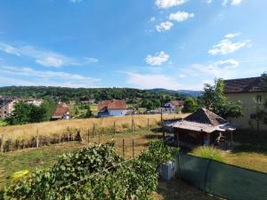 a view of a vineyard and a house at Apartman Sky 1 in Gornja Toplica