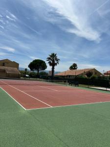 un court de tennis avec un palmier en arrière-plan dans l'établissement Villa T2 à 100m de la plage, piscine, tennis, à Saint Cyprien Plage