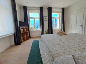 a bedroom with a large bed and two windows at Villa Emilia nelle Dolomiti in Domegge di Cadore