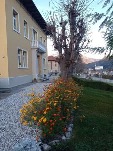 a tree and flowers in front of a building at Villa Emilia nelle Dolomiti in Domegge di Cadore