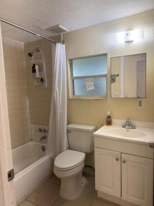 タンパにある4602 Homeのトイレ、洗面台、シャワー付きのバスルーム