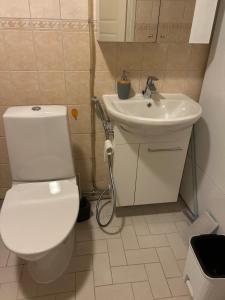a bathroom with a white toilet and a sink at Harmonia in Keminmaa +9 photos
