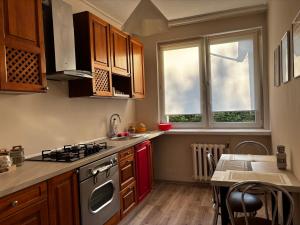 Dapur atau dapur kecil di Red Poppy Apartment