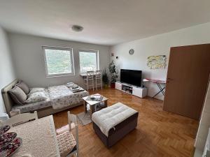 a living room with a couch and a tv at APARTMENT JOVOVIC in Plužine