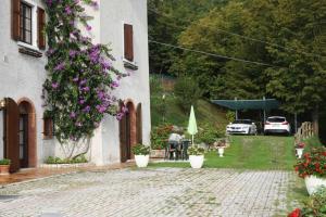 Κήπος έξω από το Apartments Casa Tamas, Limone