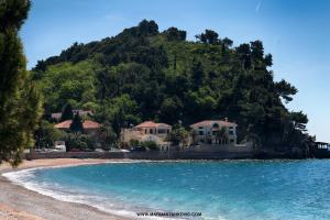 Příroda nedaleko apartmánu