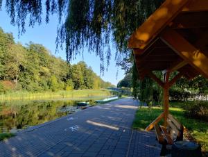 a walkway next to a river with a tree at Pokoje U Elizabeth in Augustów