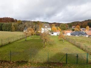 a field with a fence and trees in it at Ferienhaus im Thüringer Wald in Wutha-Farnroda