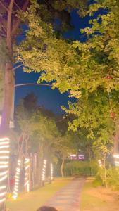 En have udenfor Hotel regal garden