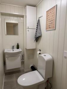 a small bathroom with a toilet and a sink at Apartment in Tromsø in Tromsø