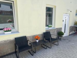 two chairs and a table with flowers on a patio at U Tonyho - Apartmán v centru Strakonice 2-kk in Strakonice