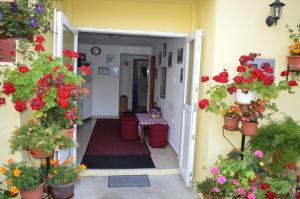 a hallway with potted plants and flowers at Hostel David in Mostar
