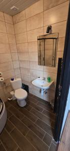 a bathroom with a toilet and a sink at Chmurka in Górno +14 photos