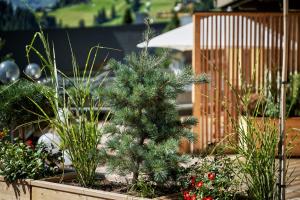 Fotografie z fotogalerie ubytování Brugger's Genießerhotel Lanersbacherhof na Tuxu + 74 fotografií