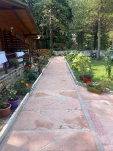 Gallery image of Bujtina Uji I Panjes, LLOGARA in Vlorë