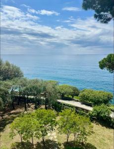 Fotografie z fotogalerie ubytování Giardino in villa Margherita v destinaci Zoagli